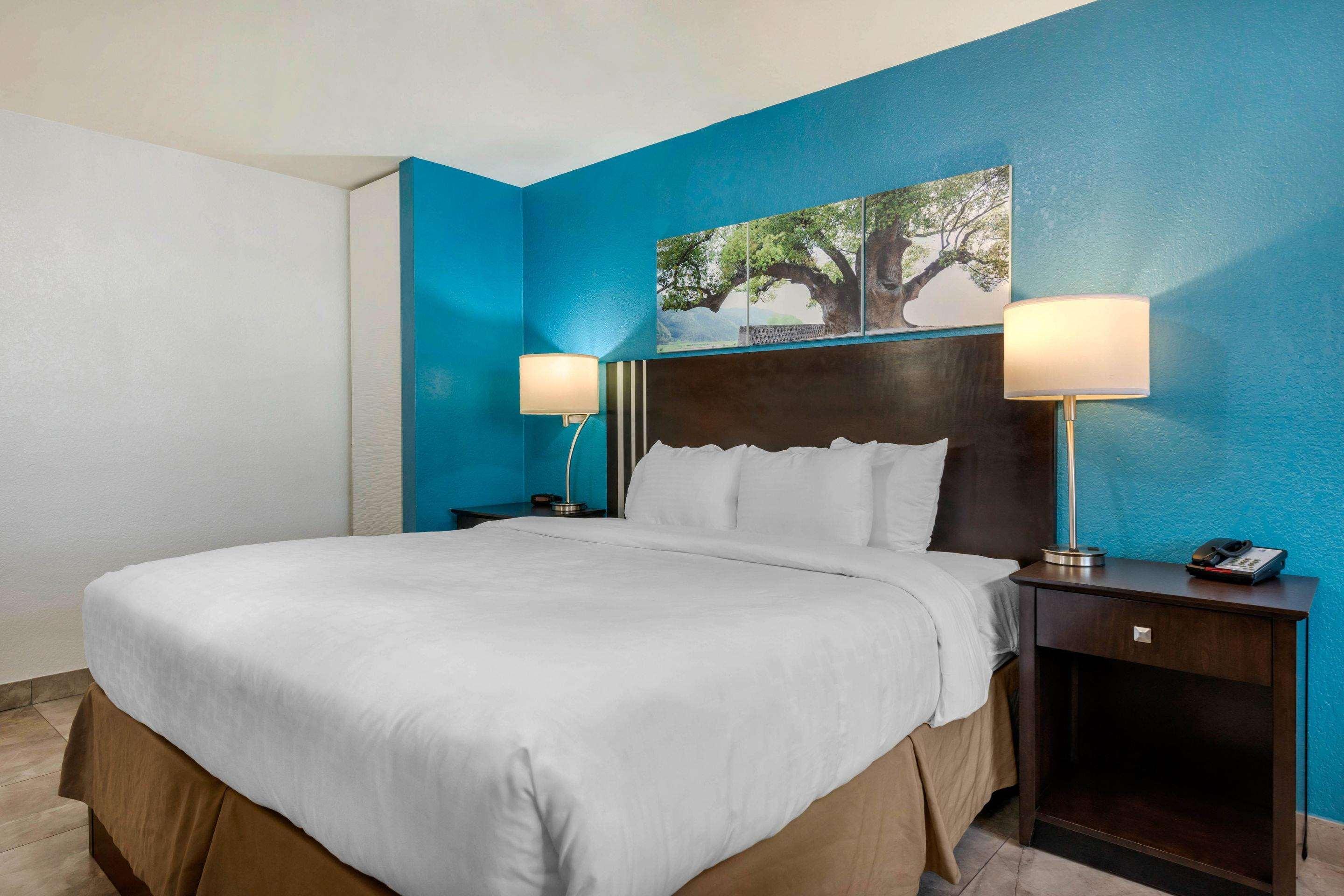 Quality Inn And Conference Center Tampa-Brandon Heartland Екстер'єр фото
